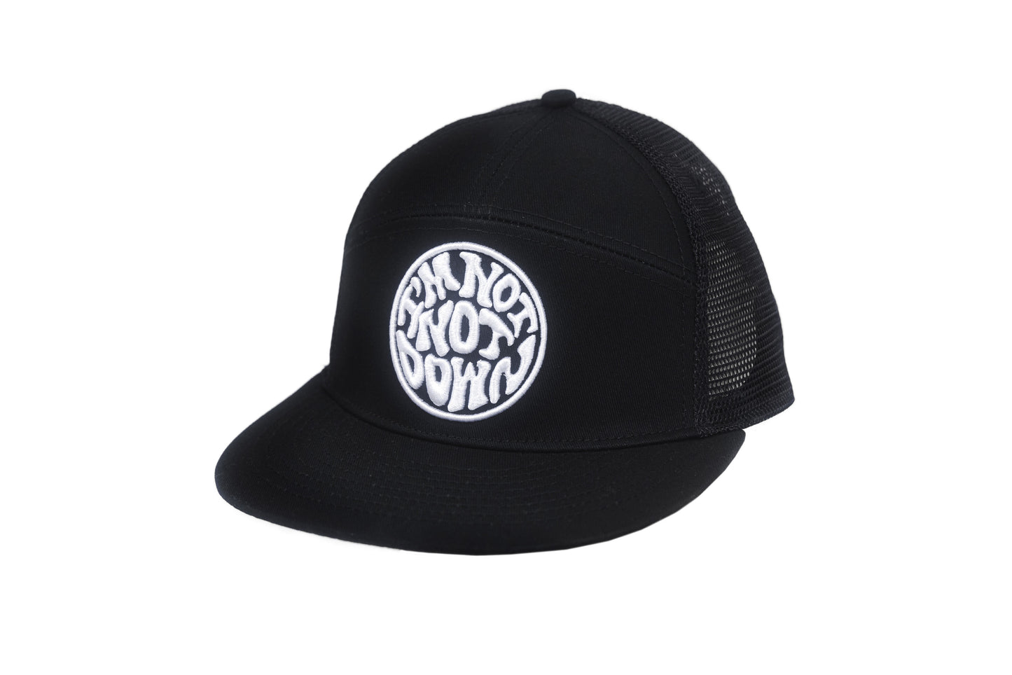 "I'm Not, Not Down" Custom Cap